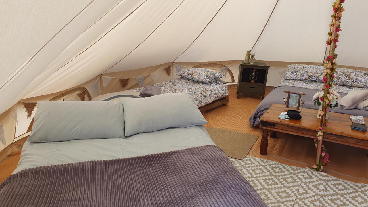 Calon Y Goedwig Glamping Hotel Llandovery Exterior photo
