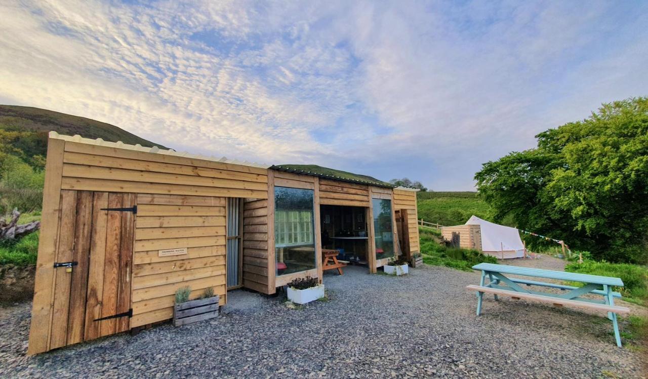 Calon Y Goedwig Glamping Hotel Llandovery Exterior photo