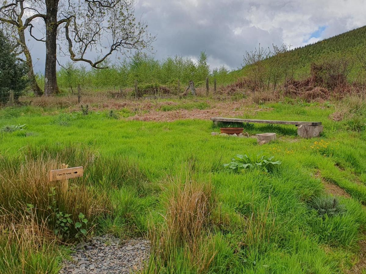 Calon Y Goedwig Glamping Hotel Llandovery Exterior photo